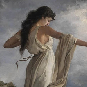 Meet your Posher, Joey